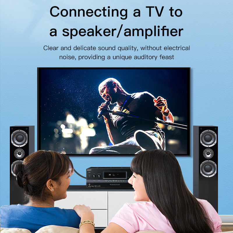 Кабель CHOSEAL RCA, цифровой к – обзор и цена Home Cinema Tv